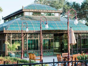 Large Glass Greenhouse For Wedding Hot Dip Galvanized Structure